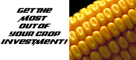 If you are ready to schedule your survey, call us now at 563-922-3033, or book online at www.agscout.com 